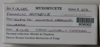Image Associated With the Occurence